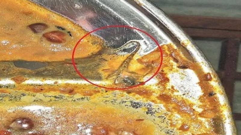 Lizard found in Mid day meal food in Patiala Govt School Lizard found in Mid day meal food in Patiala Govt School