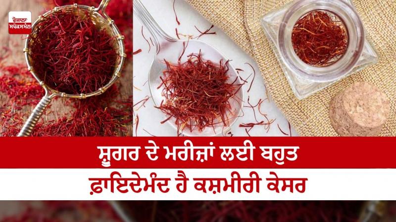 Kashmiri saffron is very beneficial for diabetes patients Kashmiri saffron is very beneficial for diabetes patients