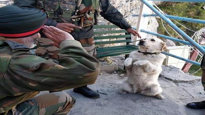 Dog Menaka Saluting Top Army Commander KJS Dhillon 