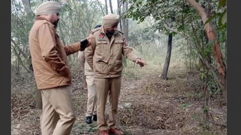 One month old skeleton found in Kadian forest, widespread sensation One month old skeleton found in Kadian forest, widespread sensation