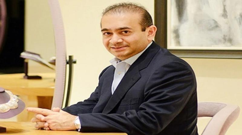PNB case: Diamond merchant Nirav Modi's Pune flats to be auctioned in February 2023 PNB case: Diamond merchant Nirav Modi's Pune flats to be auctioned in February 2023
