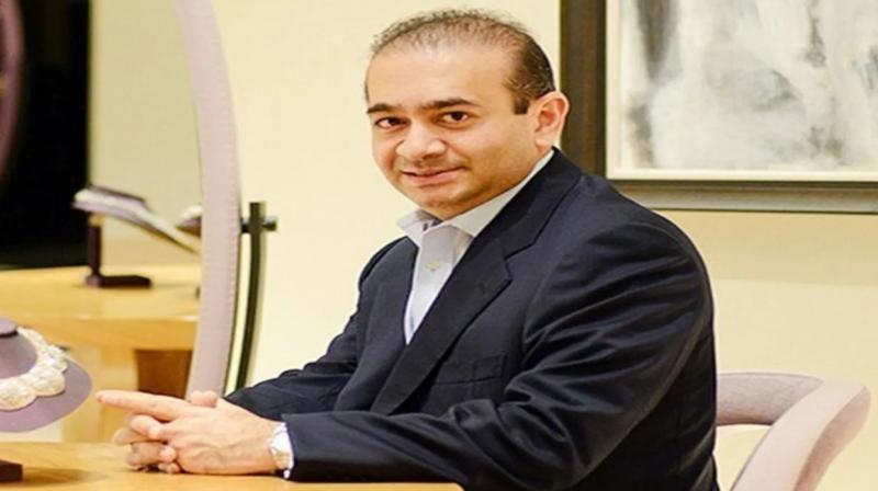 PNB case: Diamond merchant Nirav Modi's Pune flats to be auctioned in February 2023