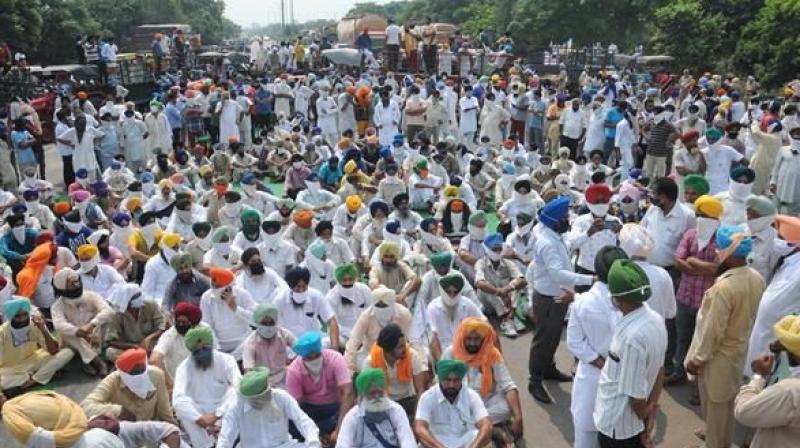 Farmers Protest Farmers Protest