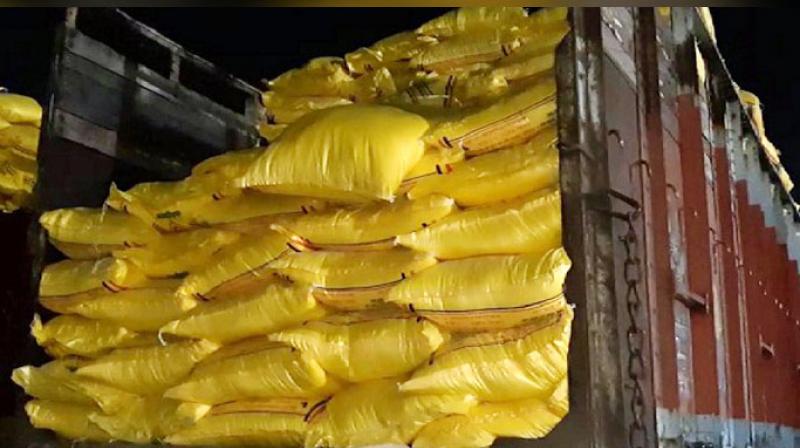 urea fertilizer