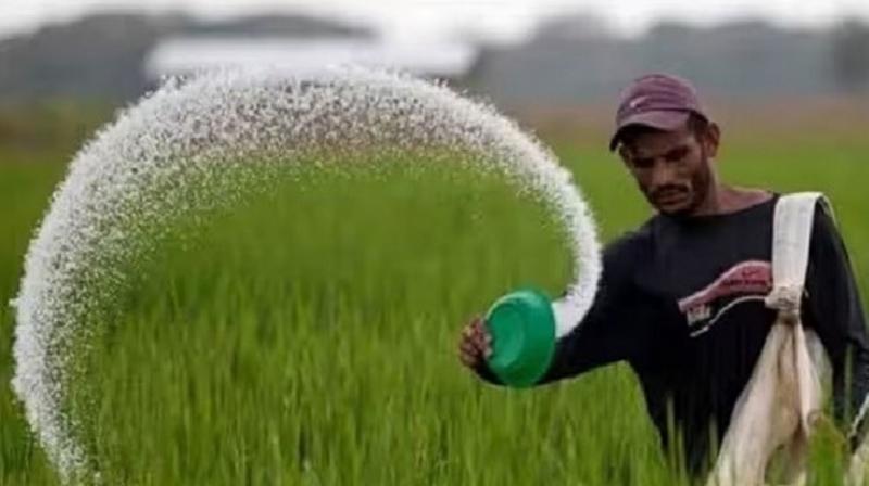 Cabinet approves Rs 24,475 crore subsidy on P&K fertilizers for rabi season Cabinet approves Rs 24,475 crore subsidy on P&K fertilizers for rabi season