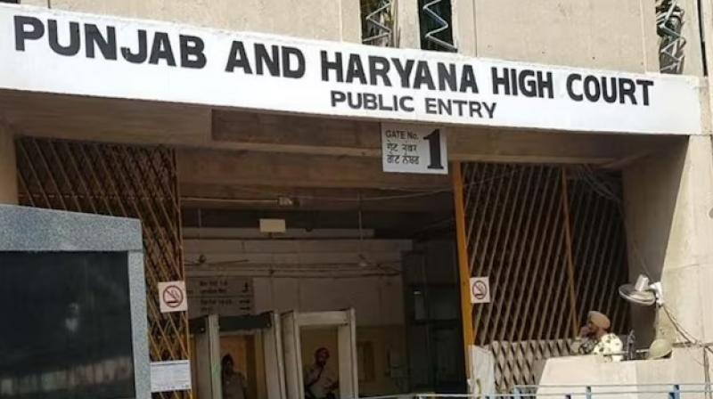 punjab And Haryana High Court punjab And Haryana High Court