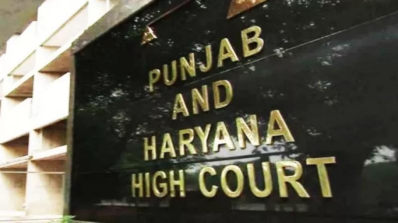 Punjab and Haryana High Court Punjab and Haryana High Court