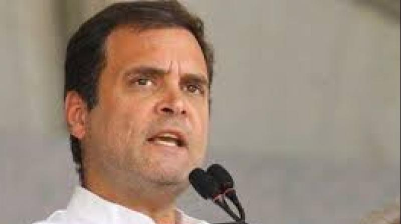 Rahul Gandhi Rahul Gandhi