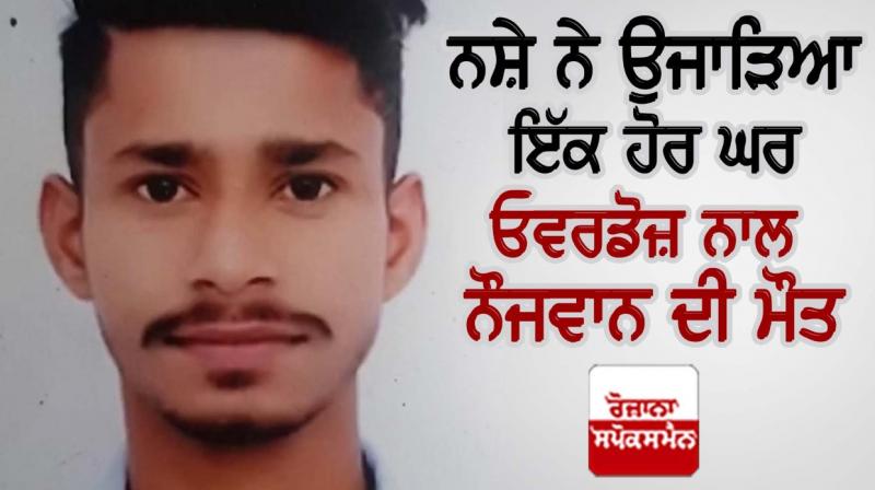 punjab news punjab news