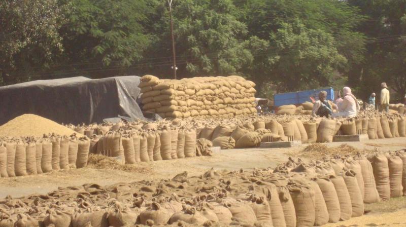 Grain Market Grain Market