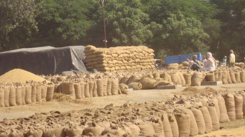 Grain Market