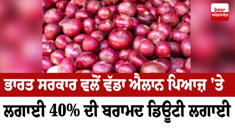 Onion Onion