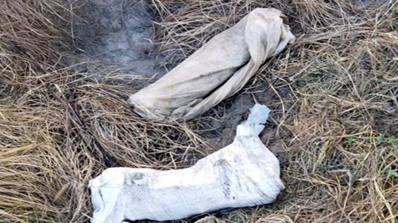 BSF Punjab recovers cache of arms near Indo-Pak border BSF Punjab recovers cache of arms near Indo-Pak border