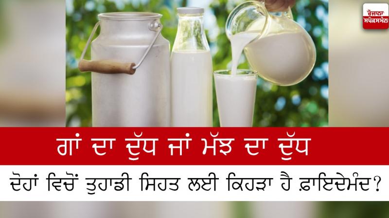 Milk Milk