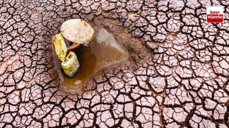 Water crisis threatens half of global food production: report Water crisis threatens half of global food production: report