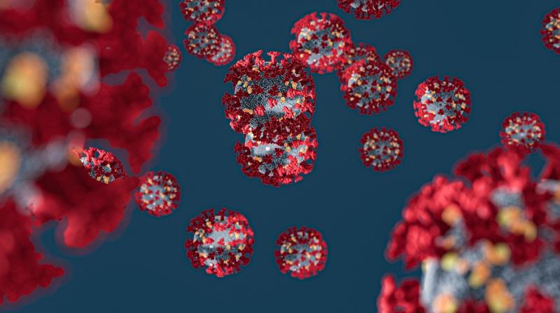 coronavirus coronavirus