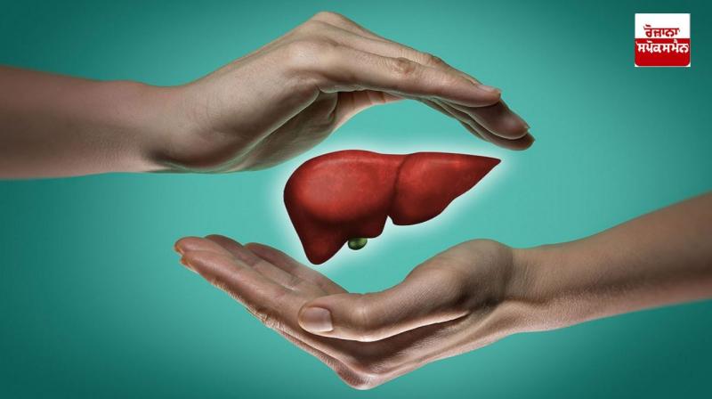 Home Remedies to Relieve Liver Heat, Swelling and Weakness Home Remedies to Relieve Liver Heat, Swelling and Weakness