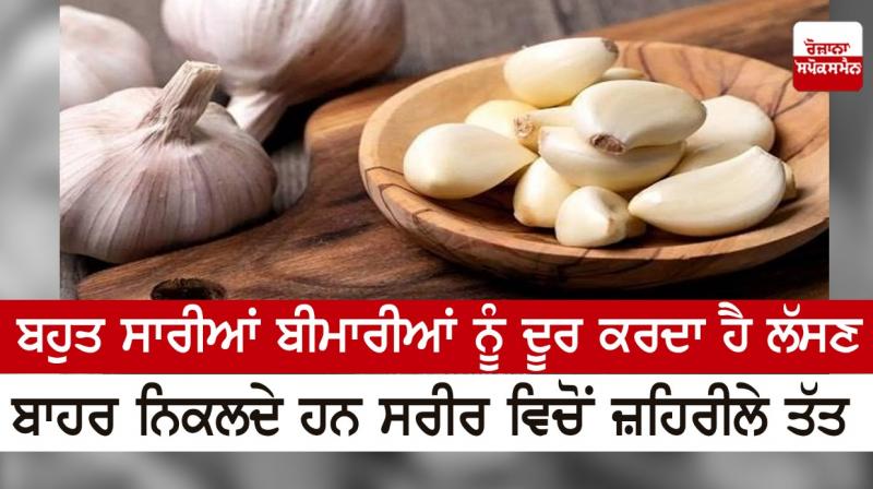 Garlic cures many diseases Garlic cures many diseases