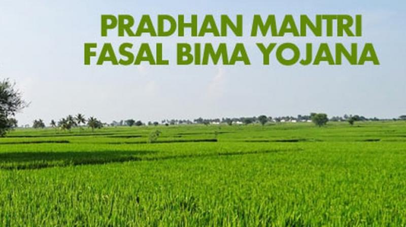 Pradhan Mantri Fasal Bima Yojana Pradhan Mantri Fasal Bima Yojana