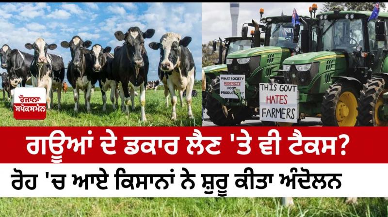 New Zealand farmers protest world’s first livestock ‘burp tax’ New Zealand farmers protest world’s first livestock ‘burp tax’