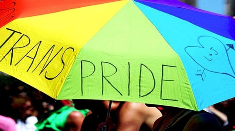 Punjab & Haryana Govts Agree To Consider Plea For Setting Up Transgender Protection Cells