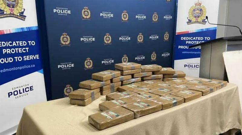 Edmonton police make cocaine bust News Edmonton police make cocaine bust News