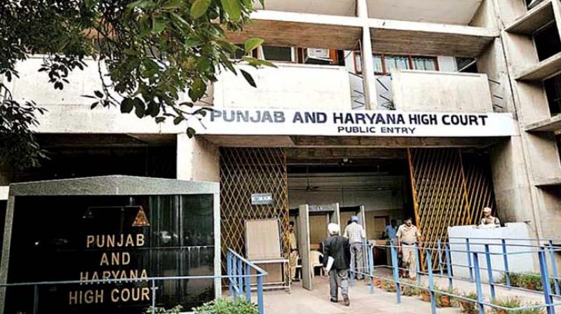 Punjab and haryana High Court Punjab and haryana High Court