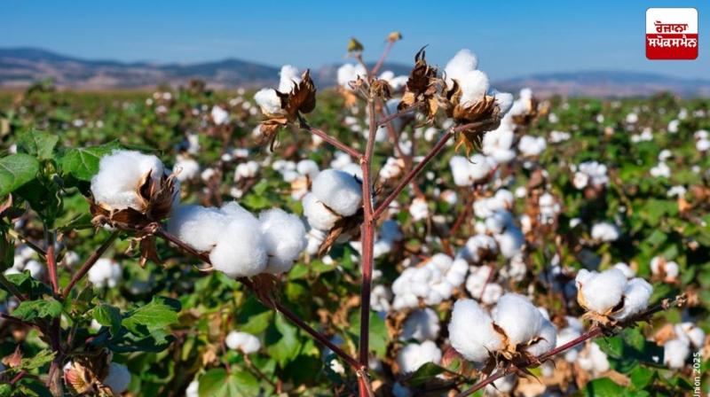 Amid Trump tariffs, Indian government gives big relief to textile industry Amid Trump tariffs, Indian government gives big relief to textile industry