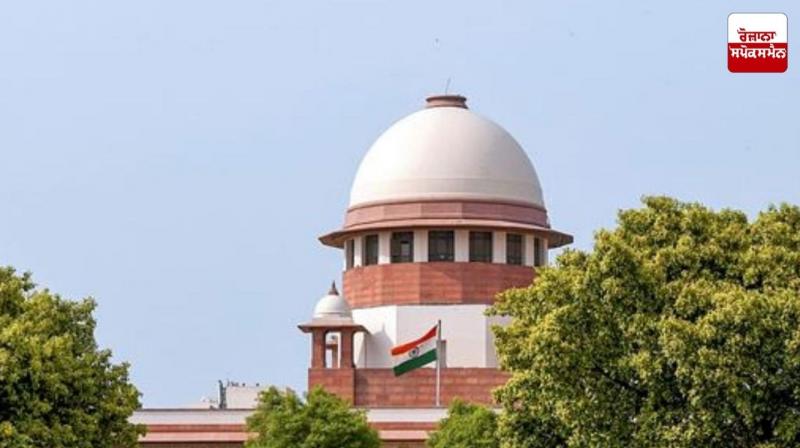 The President and Governor are not answerable to the court for their decisions. The President and Governor are not answerable to the court for their decisions.