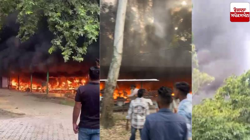 Zirakpur News: E-vehicles caught fire in Chhatbir Zoo, loss worth lakhs of rupees Zirakpur News: E-vehicles caught fire in Chhatbir Zoo, loss worth lakhs of rupees
