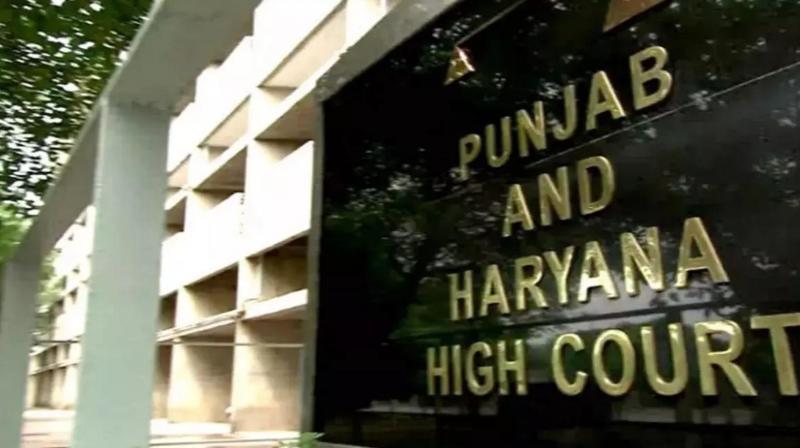 Punjab Haryana High Court Punjab Haryana High Court