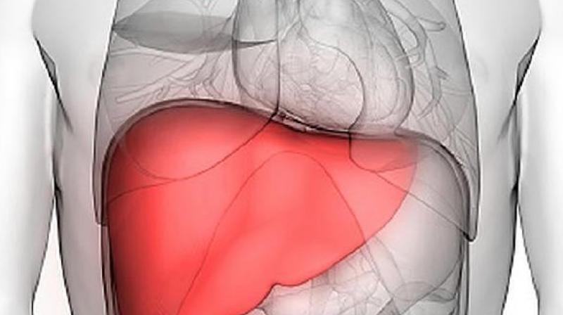 5 best foods to help you lose weight and reduce fat in the liver 5 best foods to help you lose weight and reduce fat in the liver
