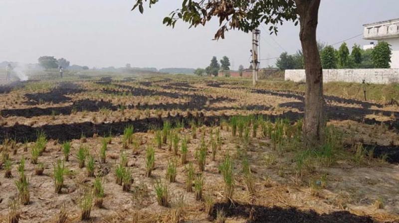 Stubble Burning Stubble Burning