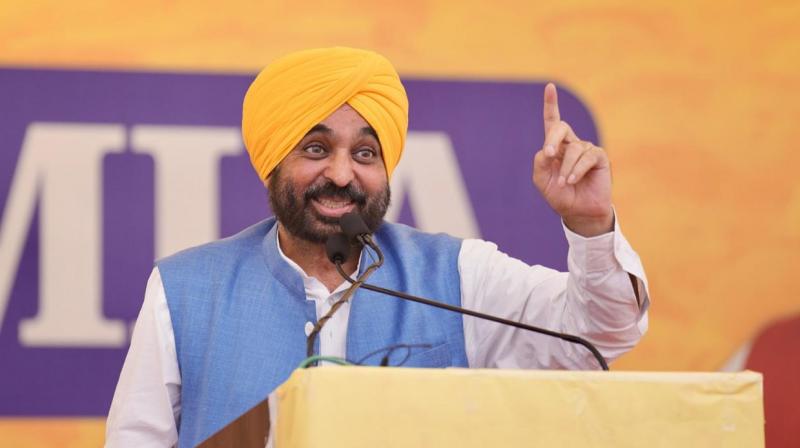 CM Mann congratulated AAP on its victory in the by-elections CM Mann congratulated AAP on its victory in the by-elections