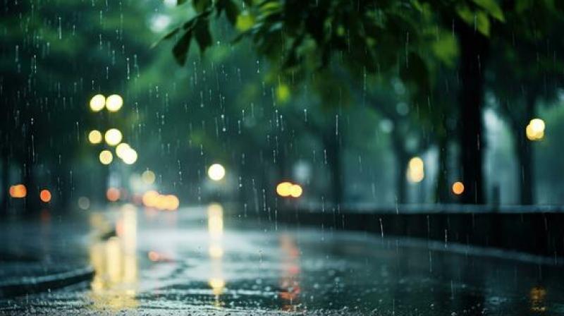 Monsoon will be active in Punjab-Chandigarh on September 2: Yellow alert issued Monsoon will be active in Punjab-Chandigarh on September 2: Yellow alert issued