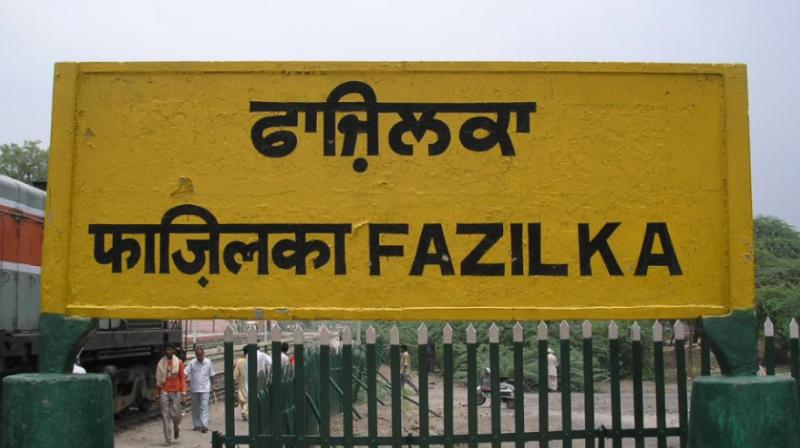 Fazilka