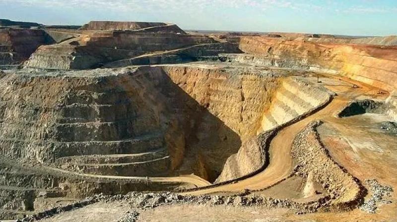 The government will keep 13 gold mines for sale this month The government will keep 13 gold mines for sale this month