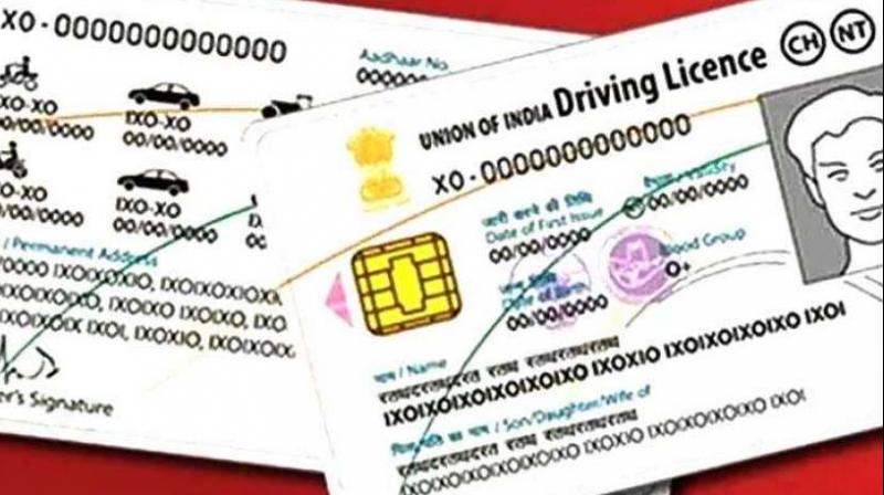 new design driving licences 