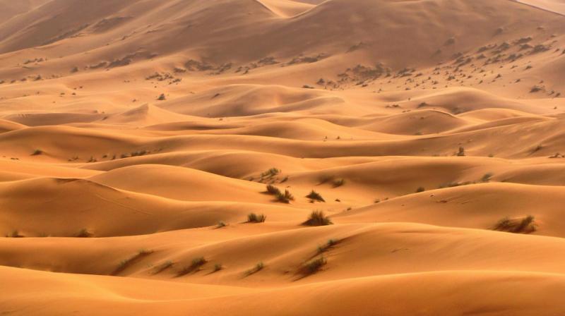 The Sahara Desert The Sahara Desert