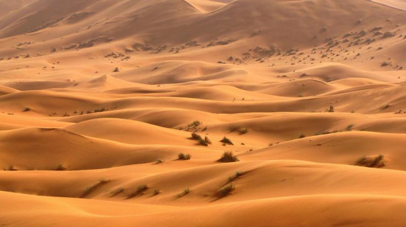 The Sahara Desert