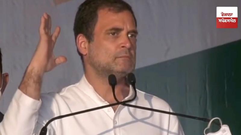 Rahul Gandhi 