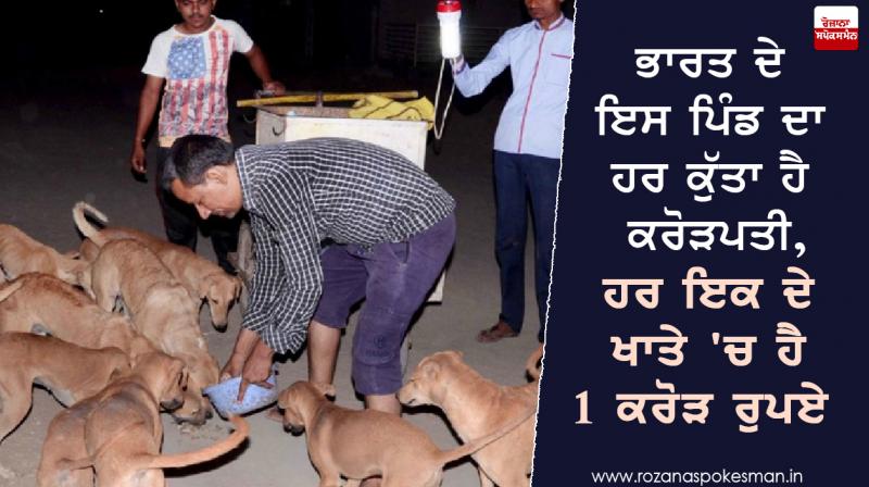 In this Gujarat village, canines are crorepatis