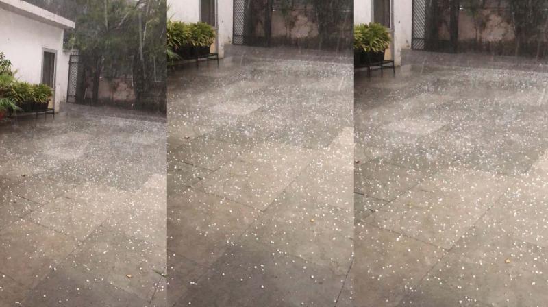 Punjab Weather Update news in punjabi Punjab Weather Update news in punjabi