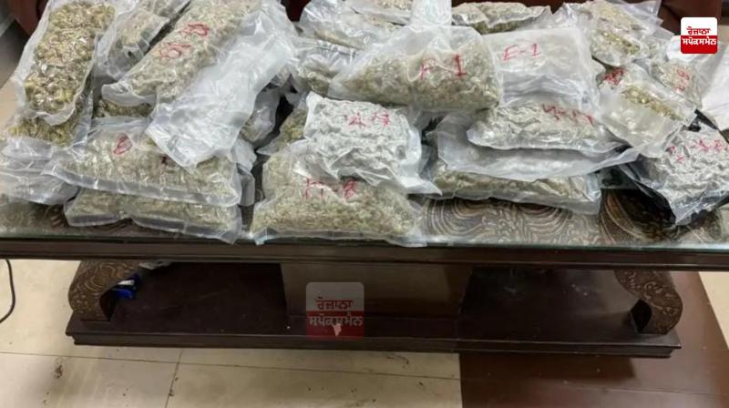 7.7 kg of ganja seized at Amritsar airport 7.7 kg of ganja seized at Amritsar airport