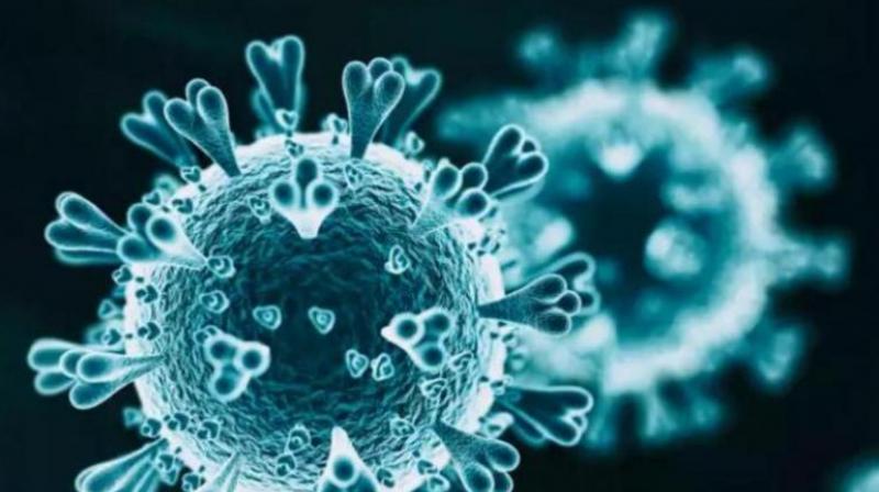 coronavirus coronavirus