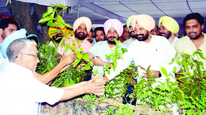 Distribution of Plants Sadhu Singh Dharamsot and S.Balbir Singh Sidhu