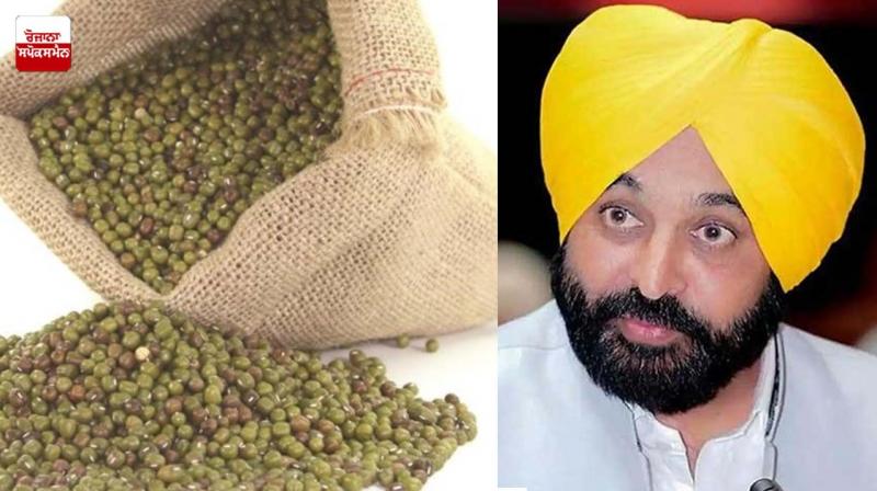 IN A FIRST, PUNJAB INITIATES PROCUREMENT OF MOONG CROP ON MSP