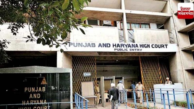 Submit full report on non-forestry activities in Siswan: High Court