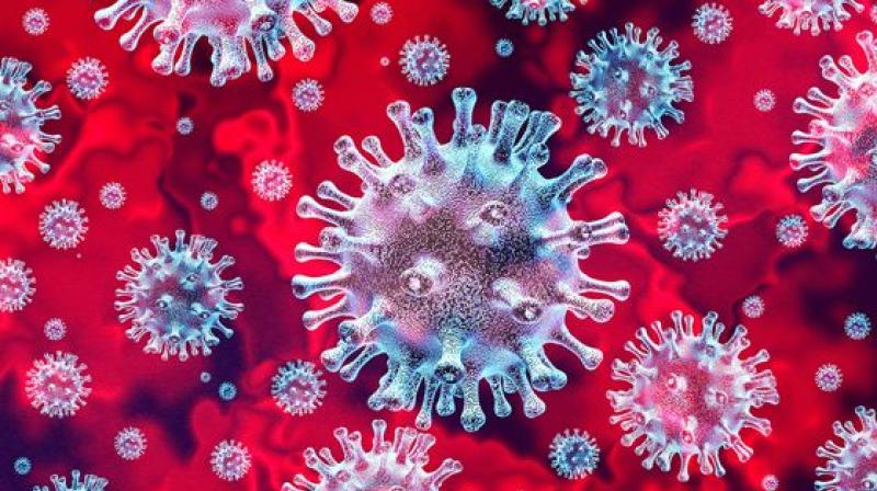 China Corona Virus China Corona Virus