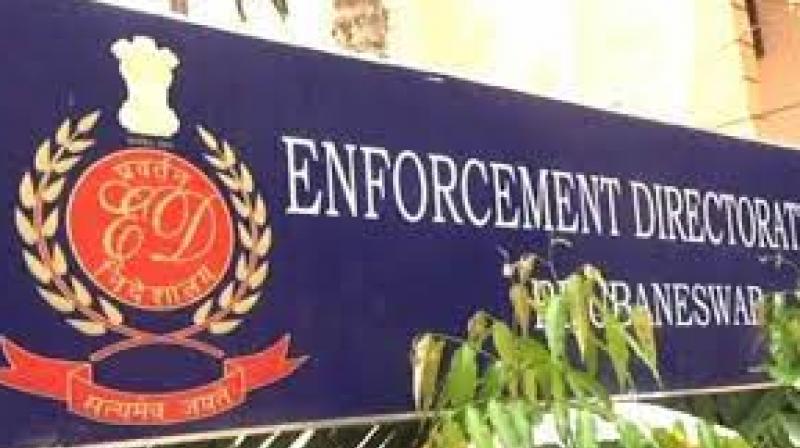 ED raids at 8 places in Punjab, also action against big cable company ED raids at 8 places in Punjab, also action against big cable company